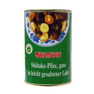 Shiitake Pilz